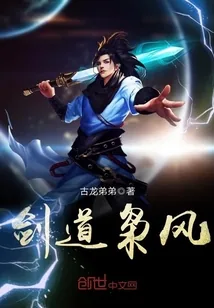 《剑道枭风》封面