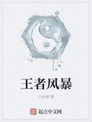 《王者风暴》封面