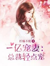 《一亿宠妻：总裁轻点宠》封面