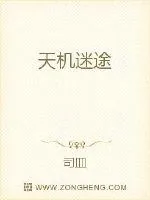 《天机迷途》封面