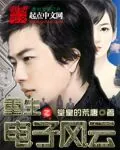 《重生之电子风云》封面