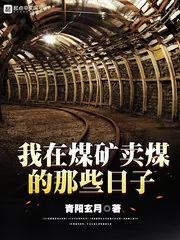《我在煤矿卖煤的那些日子》封面