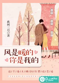 《风是暖的，你是我的》封面