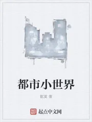 《都市小世界》封面
