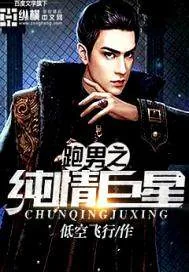 《跑男之纯情巨星》封面