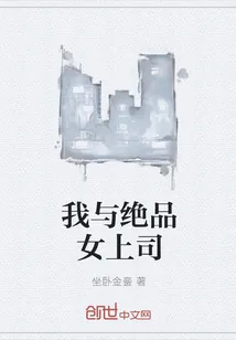 《我与绝品女上司》封面