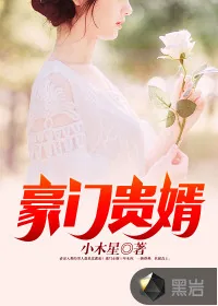 《豪门贵婿》封面