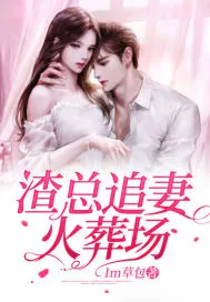 《渣总追妻火葬场》封面