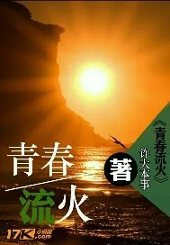 《青春流火》封面