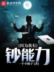 《因为我有钞能力》封面