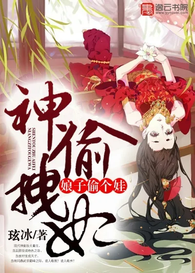 《神偷拽妃：娘子偷个娃》封面