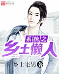 《系统之乡土懒人》封面