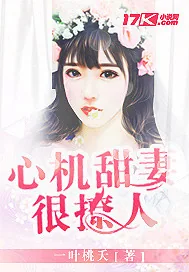 《心机甜妻很撩人》封面