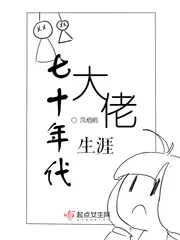 《七十年代大佬生涯》封面
