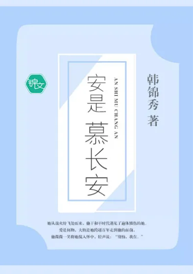 《安是慕长安》封面