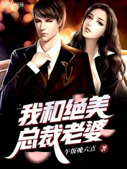 《我和绝美总裁老婆》封面