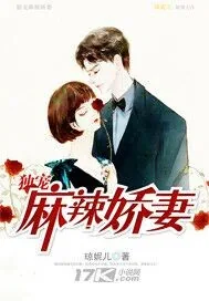 《独宠麻辣娇妻》封面