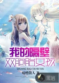 《我隔壁的双胞胎女孩》封面