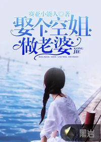 《娶个空姐做老婆》封面