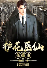 《护花医仙在都市》封面
