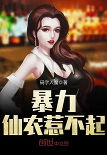 《暴力仙农惹不起》封面