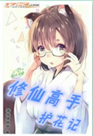 《修仙高手护花记》封面