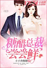 《糖醋总裁尝尝鲜》封面