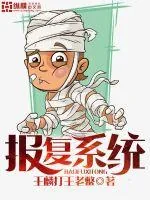 《报复系统》封面