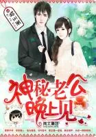 《神秘老公，晚上见！》封面