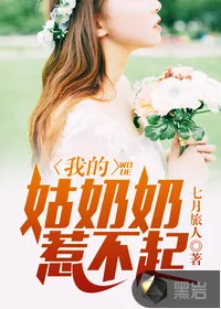 《我的姑奶奶惹不起》封面