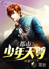 《都市少年天尊》封面