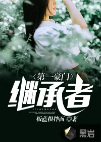 《第一豪门继承者》封面