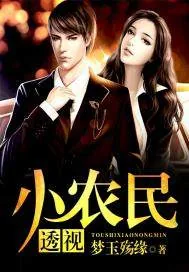 《透视小农民》封面