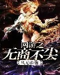 《网游之无商不尖》封面