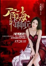 《宦海特种兵》封面