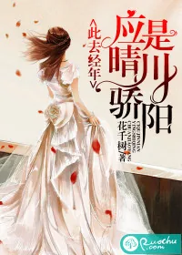 《此去经年，应是晴川骄阳》封面