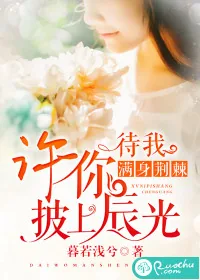 《待我满身荆棘，许你披上晨光》封面