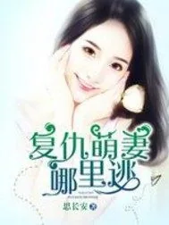 《复仇萌妻哪里逃》封面