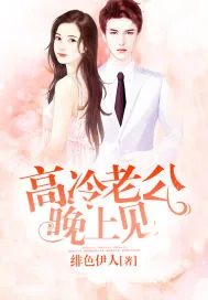 《高冷老公晚上见》封面