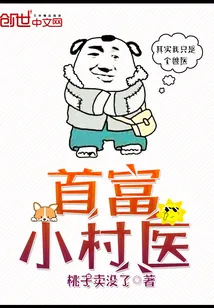 《首富小村医》封面