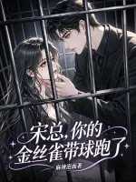 《宋总，你的金丝雀带球跑了》封面