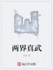 《两界真武》封面