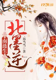 《南涟生北墨逆》封面