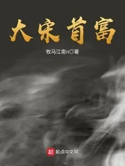 《大宋首富》封面