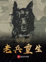 《抗战之老兵重生》封面
