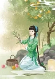 《长媳的农家生活》封面