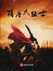 《隋唐大猛士》封面