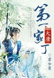 《大唐第一家丁》封面