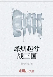 《烽烟起兮战三国》封面
