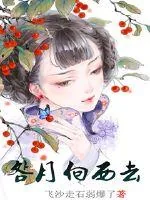 《明月向西去》封面